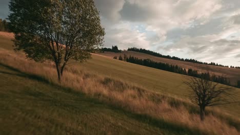 Aerial-footage-from-an-action-camera-flying-low-above-a-dry-grass-covered-meadow-approaching-lone-trees