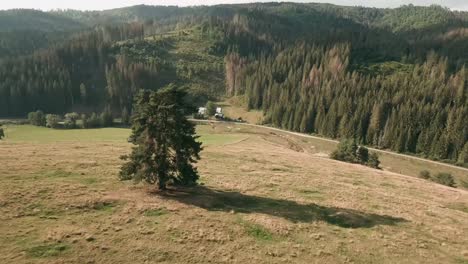 Aerial-cinematic-and-proximity-footage-from-FPV-racing-drone-flying-down-a-hill-in-between-beautiful-pine-trees-in-Saling,-Cierny-Balog,-Central-Slovakia