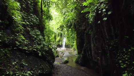 Slow-pov-forward-walk-through-deep-rainforest-with-Tukad-Cepung-Waterfall-in-background-on-Bali