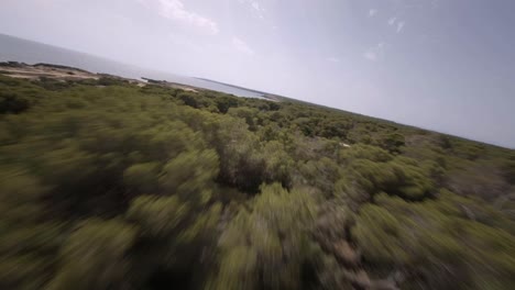 FPV-drone-shot-flying-over-dense-green-forest-along-rocky-beaches-in-Faro-de-s'Estalella,-Mallorca,-Balearic-Islands,-Spain-at-daytime