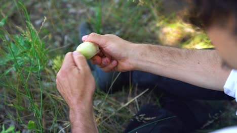 Hungarian-poet-Sandor-Petofi-peeling-onion,-resting-in-shade