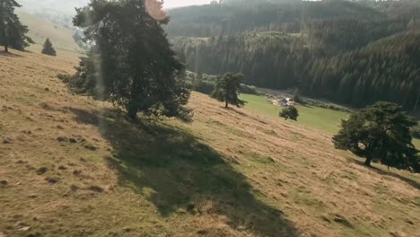 Aerial-cinematic-and-proximity-footage-from-FPV-racing-drone-flying-down-a-hill-in-between-beautiful-pine-trees-in-Saling,-Cierny-Balog,-Central-Slovakia