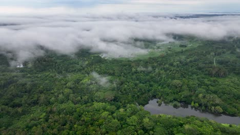 Amazon-forest-with-clouds-and-fog