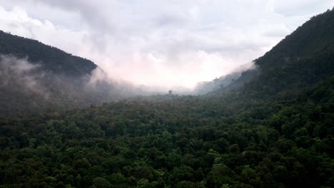 Cinematic-Aerial-shot-of-Vast-Rainforest-Jungle-Landscape-Background-Texture-Cloudy-Weather-in-Sumbawa-island,-Indonesia