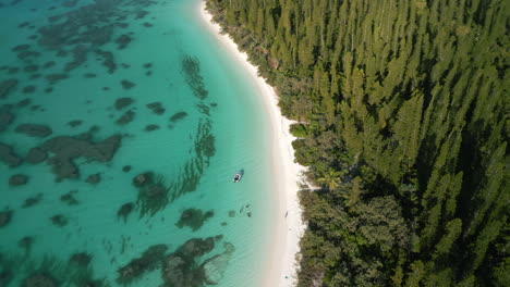 A-small-boat-brings-tourists-to-Brush-Island,-a-deserted-island-off-Kuto-Bay,-Isle-of-Pines---aerial-orbit