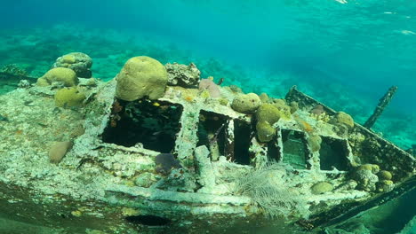 General-shot-of-a-wrecked-ship-at-the-bottom-of-the-sea-full-of-coral-and-fish