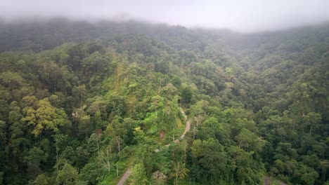 Scenic-Jungle-Road-Surrounded-By-Mountain-Landscape-With-Dense-Forest-Jungle-In-Central-Sumbawa-Island,-Indonesia