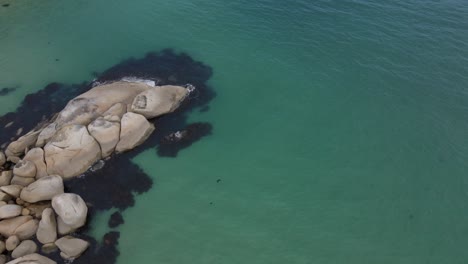 Antena-De-Drones-Sobre-Una-Hermosa-Playa-Azul-Claro-Y-Rocas-Blancas-En-Un-Día-Soleado-En-El-Promontorio-De-Wilson