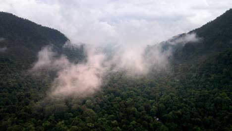 Toma-Aérea-épica-De-Drones-Volando-A-Través-De-Las-Nubes-En-La-Vasta-Selva-Tropical-Paisaje-De-La-Selva-Textura-De-Fondo-Clima-Nublado-En-La-Isla-De-Sumbawa,-Indonesia