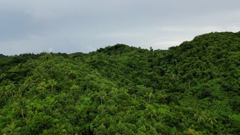 Establishing,-Slow-moving-Aerial-View-of-lush-jungles-and-mountains-on-the-tropical-island-of-Catanduanes
