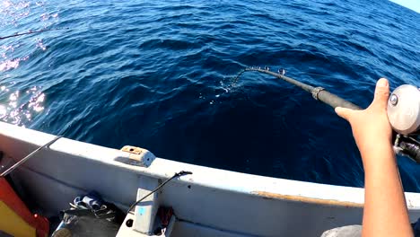 Angler-Angelt-Und-Kämpft-Gegen-Fische-Mit-Ins-Wasser-Gezogener-Angelrute