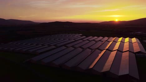 Establisher-aerial-of-large-greenhouse-with-Photovoltaic-solar-panels,-sunset