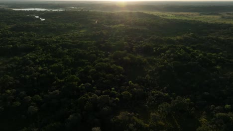Wunderschöner-Sonnenuntergang-Im-Amazonaswald
