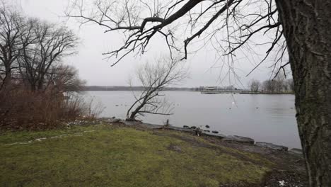 Küstenlinie-Eines-Hamilton-Parks-Im-Winter-Mit-Blick-Auf-Eine-Bucht-Des-Lake-Ontario