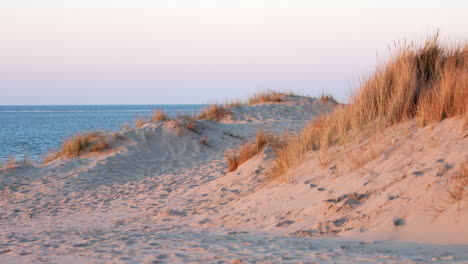 Offshore-Sand-Dune-Mountain-With-Sea-Grass-During-Summer