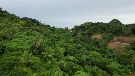 Establishing,-Rising-Aerial-View-of-lush,-mountainside-jungles-with-manmade-dirt-roads-for-travelers