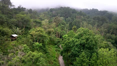 Cerca-De-La-Carretera-De-La-Jungla-Rodeada-De-Un-Paisaje-Montañoso-Con-Una-Densa-Jungla-Forestal-En-La-Isla-Central-De-Sumbawa,-Indonesia