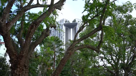 Tilt-up-view-of-lush-trees-against-the-background-of-The-Pinnacles-at-Duxton-in-Chinatown-precinct,-Singapore
