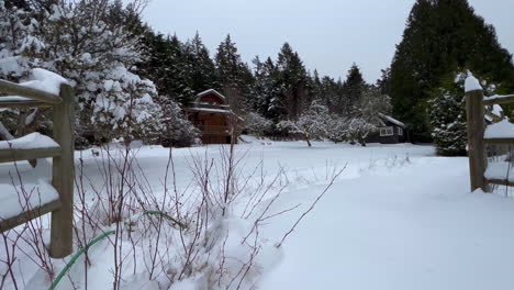 Hölzernes-Bauernhaus,-Eingebettet-In-Bäumen-Nach-Dem-Schneefall-Im-Winterwunderland