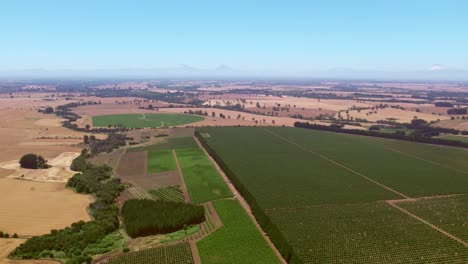 Establishing-shot-of-orchards-and-vineyards-in-Malleco-Valley,-Chile
