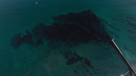 Static-aerial-view-of-Bahia-Asuncion-kelp-forest-off-breakwater-jetty-in-open-ocean