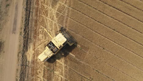 Aerial-drone-bird's-eye-view-over-a-yellow-agricultural-farm-combine-harvester-busy-collecting-ripe-wheat-from-a-large-wheat-field-on-a-sunny-day