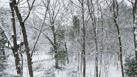 Still-drone-footage-of-snow-falling-on-trees