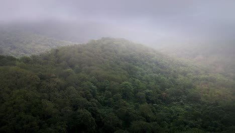 Scenic-Aerial-view-of-Vast-Rainforest-Jungle-Landscape-Background-Texture-Cloudy-Weather-in-Sumbawa-island,-Indonesia