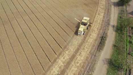 Aerial-drone-top-down-shot-over-a-large-yellow-agricultural-farm-combine-harvester-busy-harvesting-wheat-on-an-industrial-wheat-field-in-Rajkot,-India