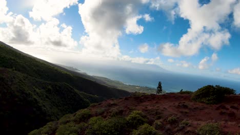 From-the-top,-enjoy-a-stunning-aerial-view-of-a-verdant-mountain-valley-on-Molokai,-with-a-picturesque-path-cutting-through-lush-vegetation-and-leading-down-to-the-blue-ocean-in-the-background