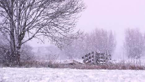 Picturesque-Dutch-winter-landscape-with-heavy-snowfall-in-countryside