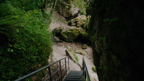 Metalltreppe-Durch-Eine-Schlucht-Mit-Felsbrocken-Im-Hintergrund-Und-Auf-Der-Rechten-Seite-Mit-Vielen-Grünen-Pflanzen-Auf-Der-Linken-Seite-In-Österreich