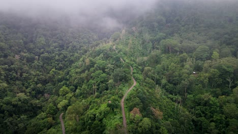 Cinematic-aerial-shot-of-Jungle-Road-Surrounded-By-Mountain-Landscape-With-Dense-Forest-Jungle-In-Central-Sumbawa-Island,-Indonesia