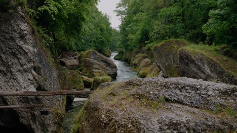 Canyon-in-Austria-with-big-boulders-next-to-the-creek-with-trees-to-the-left-and-right