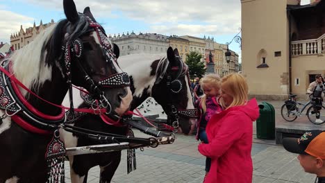 Krakow,-Poland---11-July-2022:-Tourists-Fanily-With-Kids-caresses-Horses-of-the-carriages-at-the-Old-Town-District-Main-Market-Square-in-the-Krakow,-Poland-Historic-Center