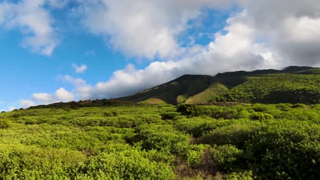 Soar-high-above-and-take-in-the-breathtaking-aerial-view-of-a-path-cutting-through-lush-low-lying-vegetation,-with-the-majestic-Molokai-mountain-peak-looming-in-the-distance-against-a-clear-blue-sky