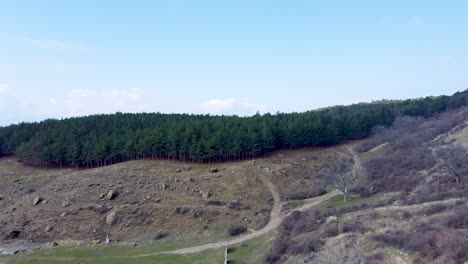 aerial-footage,-flying-to-the-pine-forest-near-Sopot,-Bulgaria