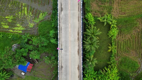 Cinematic-Top-Down-Aerial-View-of-Empty-Bridge-by-tropical-community-with-palm-trees-and-rice-fields-in-the-Philippines