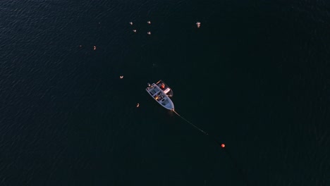 Das-Vor-Anker-Liegende-Boot-überträgt-Fische-Auf-Ein-Ruderboot,-Während-Seevögel-Im-Offenen-Ozean-Vorbeifliegen
