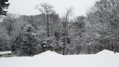 Snow-covering-woods-in-a-heavy-layer