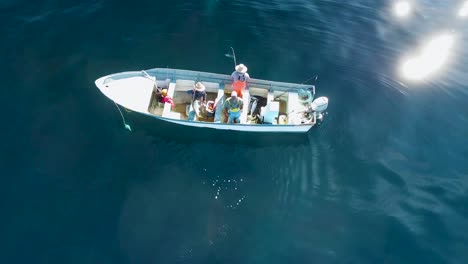 Aerial-high-angle-of-gaffer-pulling-fish-aboard-and-reeling-in-yellowtail