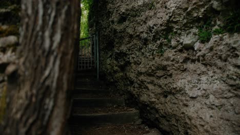 stone-staircase-through-a-narrow-path-between-rock-walls-with-a-small-metal-gate-in-the-middle-of-a-canyon-in-Austria-with-trees-in-the-background