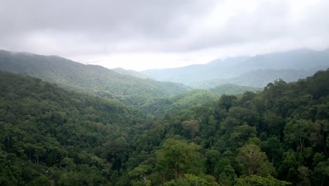 Toma-Aérea-épica-De-La-Vasta-Selva-Tropical-Paisaje-De-La-Selva-Textura-De-Fondo-Clima-Nublado-En-La-Isla-De-Sumbawa,-Indonesia