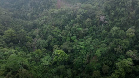 Filmische-Szene,-In-Der-Eine-Drohne-Aus-Wolken-Austritt-Und-Die-Hintergrundtextur-Einer-Regenwald-Dschungellandschaft-Mit-Wolkigem-Wetter-Auf-Der-Insel-Sumbawa,-Indonesien,-Zum-Vorschein-Bringt