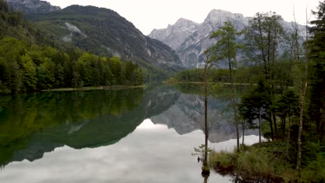 Luftstoß-über-Dem-Almsee-In-Den-österreichischen-Alpen,-Vorbei-An-Einem-Baum,-Der-Bergreflexionen-Offenbart