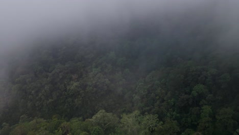 Drone-exiting-clouds-to-reveal-Rainforest-Jungle-Landscape-Background-Texture-Cloudy-Weather-in-Sumbawa-island,-Indonesia
