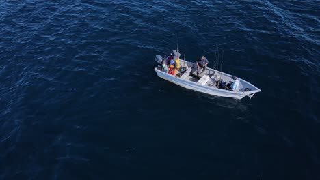 Aerial-perspective-of-angler-hurriedly-reeling-and-casting-fishing-poles-in-open-ocean