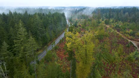 Highway-Road-by-Forest-with-Colorful-Fall-Colors-in-Autumn-on-Vancouver-Island,-British-Columbia,-Canada---Aerial-Drone-Flight