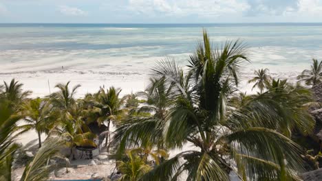 Aerial-drone-tracking-shot-travelling-down-a-perfect-palm-tree-fringed-sandy-beach-paradise,-Zanzibar,-Tanzania