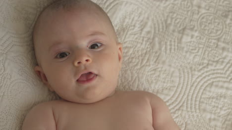 Babyporträt,-Mutter-Spielt-Mit-Armen-Und-Händen,-Streichelt-Neugeborenes
